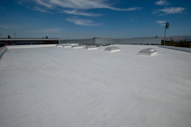 Best 4 Ply Roofing  in Three Lakes, FL