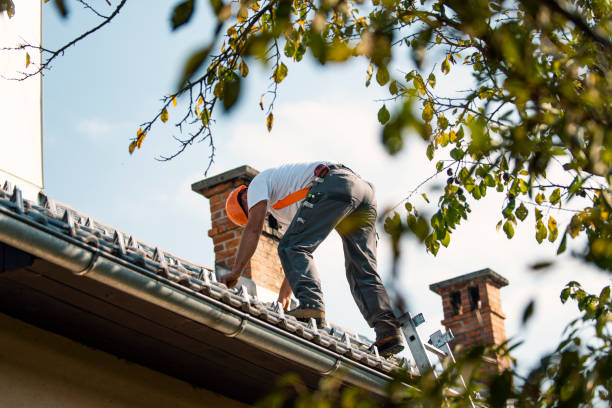 Best Chimney Flashing Repair  in Three Lakes, FL