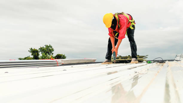 Best Storm Damage Roof Repair  in Three Lakes, FL